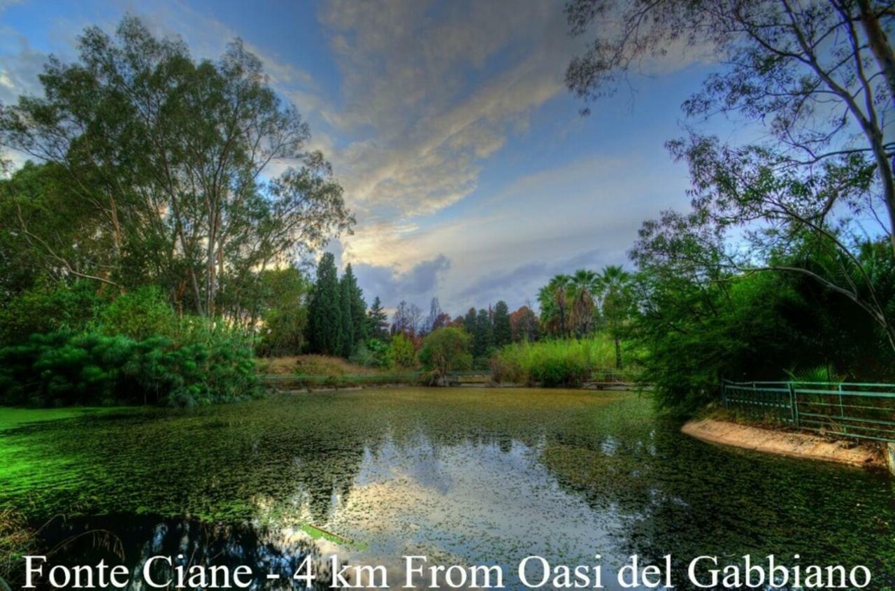 Oasi Del Gabbiano Bed & Breakfast Syracuse Eksteriør bilde